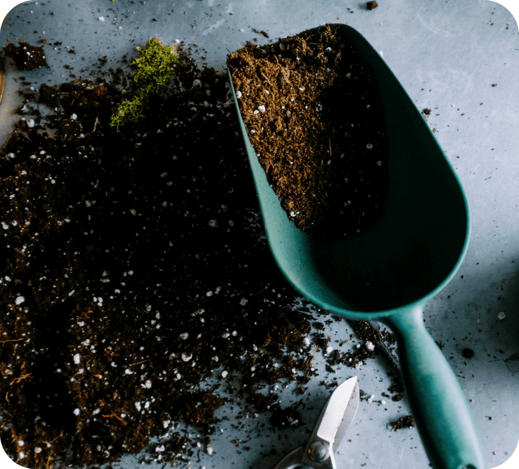 dirt